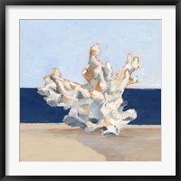 Framed Coral By the Shore IV