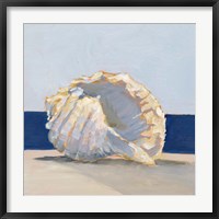 Framed Shell By the Shore II