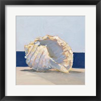 Framed Shell By the Shore II