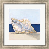 Framed Shell By the Shore III