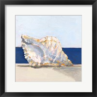 Shell By the Shore III Framed Print