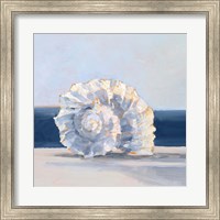 Framed Shell By the Shore IV