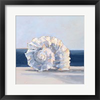 Framed Shell By the Shore IV