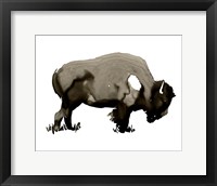 Framed Monochrom Bison I