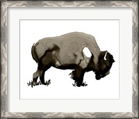 Framed Monochrom Bison I