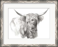 Framed Soft Focus Highland Cattle I