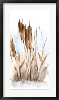 Framed Watercolor Cattail Study I