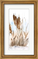 Framed Watercolor Cattail Study I