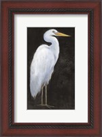 Framed White Heron Portrait I