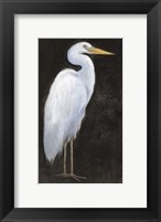 Framed White Heron Portrait I