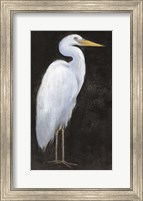 Framed White Heron Portrait I