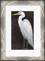 Framed White Heron Portrait II
