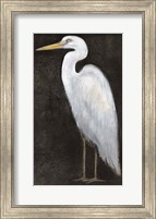 Framed White Heron Portrait II