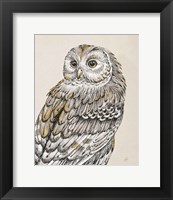 Framed Beautiful Owls III Vintage