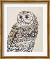 Framed Beautiful Owls III Vintage