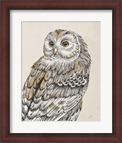 Framed Beautiful Owls III Vintage