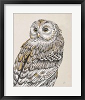 Beautiful Owls III Vintage Framed Print