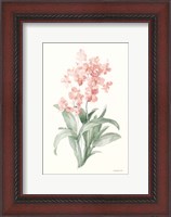 Framed Spring Orchid I