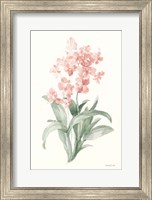 Framed Spring Orchid I