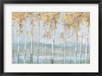 Framed Lakeview Birches