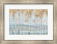 Framed Lakeview Birches