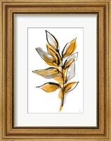 Framed Amber Leaves II