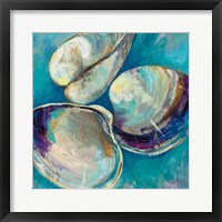 Framed Shell Trio