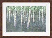 Framed Green Forest Hues II