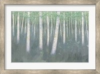 Framed Green Forest Hues II