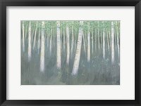 Green Forest Hues II Framed Print
