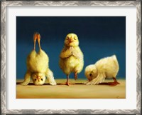 Framed Yoga Chicks