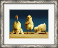 Framed Yoga Chicks