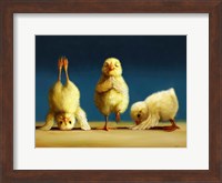 Framed Yoga Chicks