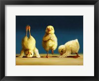 Framed Yoga Chicks