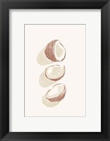 Framed Tropical Coconuts