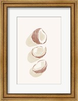 Framed Tropical Coconuts