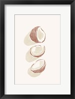 Tropical Coconuts Framed Print