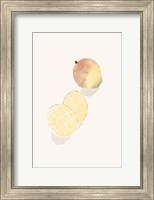 Framed Tropical Mango