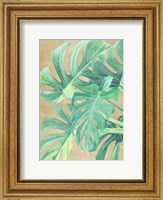 Framed Tropical Leaves II