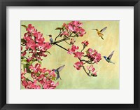 Framed Flower Branch