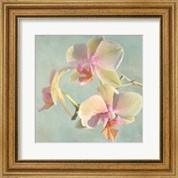 Framed Jewel Orchids I