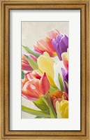 Framed Spring Tulips I