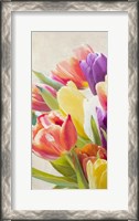 Framed Spring Tulips I