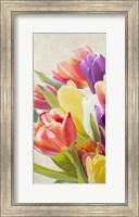 Framed Spring Tulips I