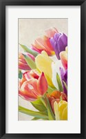 Spring Tulips I Framed Print