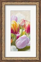 Framed Spring Tulips III