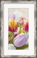 Framed Spring Tulips III