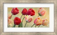 Framed Golden Tulips