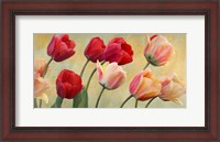 Framed Golden Tulips