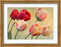 Framed Golden Tulips (detail)